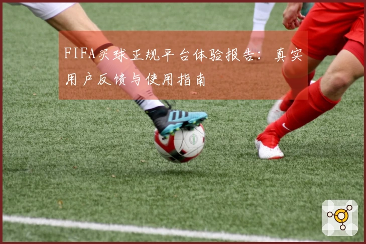 FIFA买球正规平台体验报告：真实用户反馈与使用指南