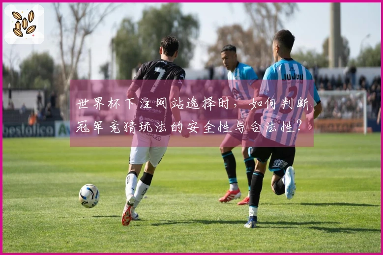 世界杯下注网站选择时，如何判断冠军竞猜玩法的安全性与合法性？