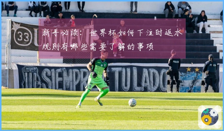 新手必读：世界杯如何下注时返水规则有哪些需要了解的事项
