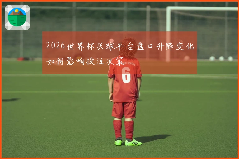 2026世界杯买球平台盘口升降变化如何影响投注决策