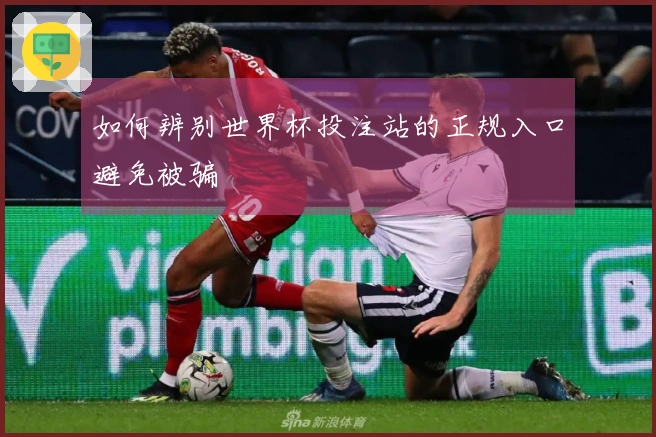 如何辨别世界杯投注站的正规入口避免被骗