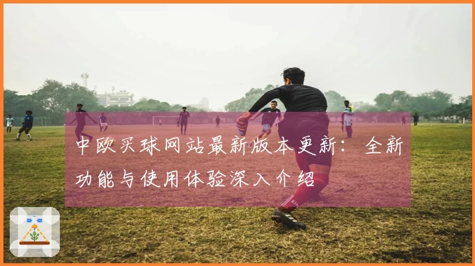 中欧买球网站最新版本更新：全新功能与使用体验深入介绍