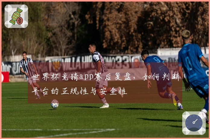 世界杯竞猜app赛后复盘,如何判断平台的正规性与安全性