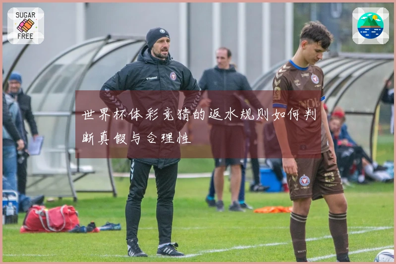 世界杯体彩竞猜的返水规则如何判断真假与合理性