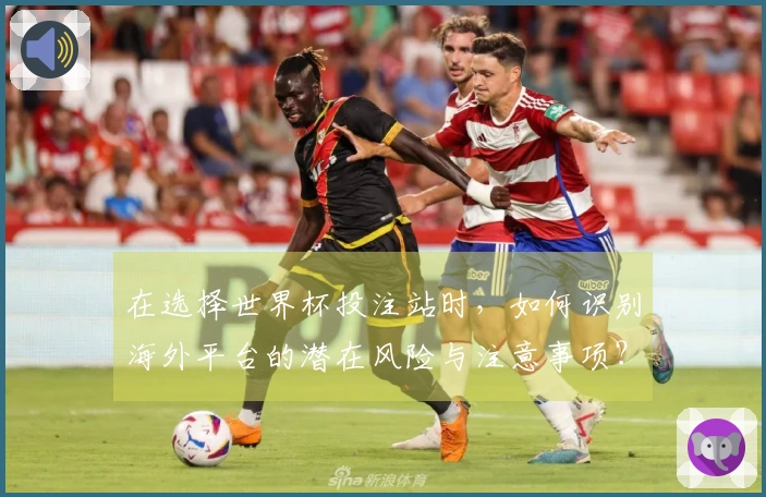 在选择世界杯投注站时，如何识别海外平台的潜在风险与注意事项？