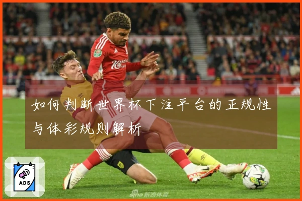 如何判断世界杯下注平台的正规性与体彩规则解析