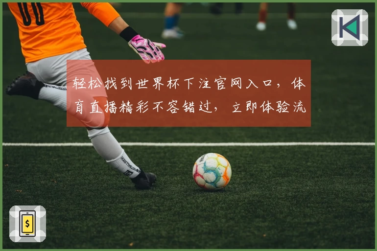 轻松找到世界杯下注官网入口，体育直播精彩不容错过，立即体验流畅服务