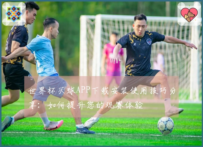 世界杯买球APP下载安装使用技巧分享：如何提升您的观赛体验
