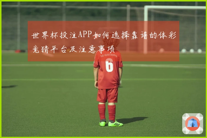世界杯投注APP如何选择靠谱的体彩竞猜平台及注意事项