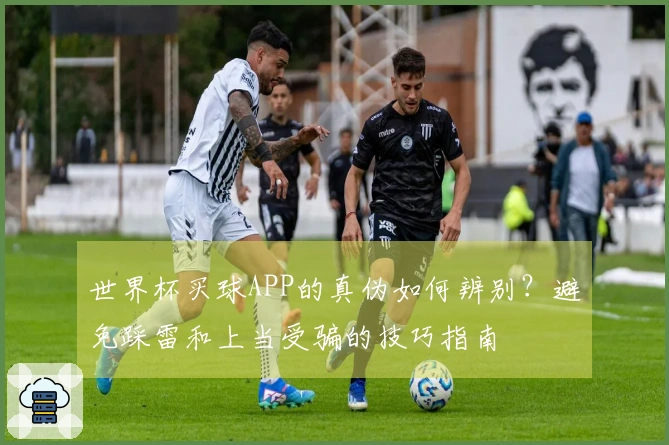 世界杯买球APP的真伪如何辨别？避免踩雷和上当受骗的技巧指南