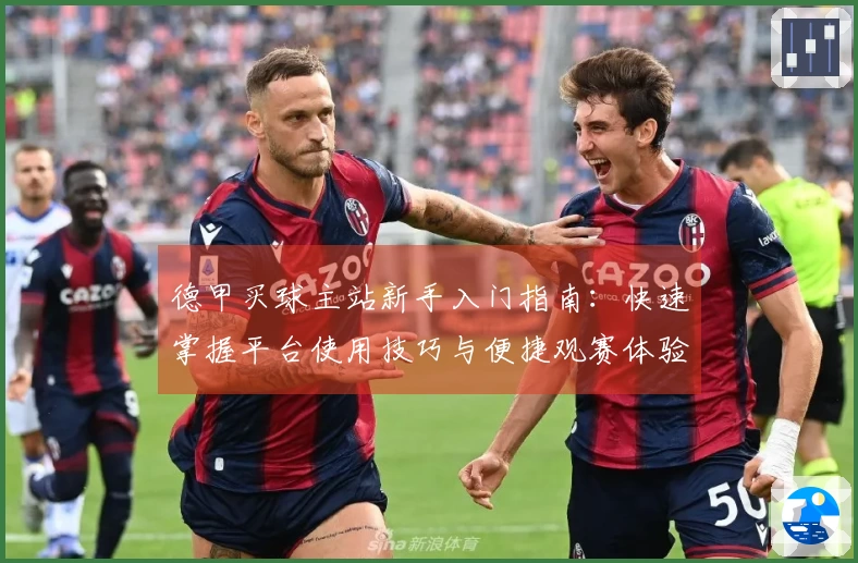 德甲买球主站新手入门指南：快速掌握平台使用技巧与便捷观赛体验