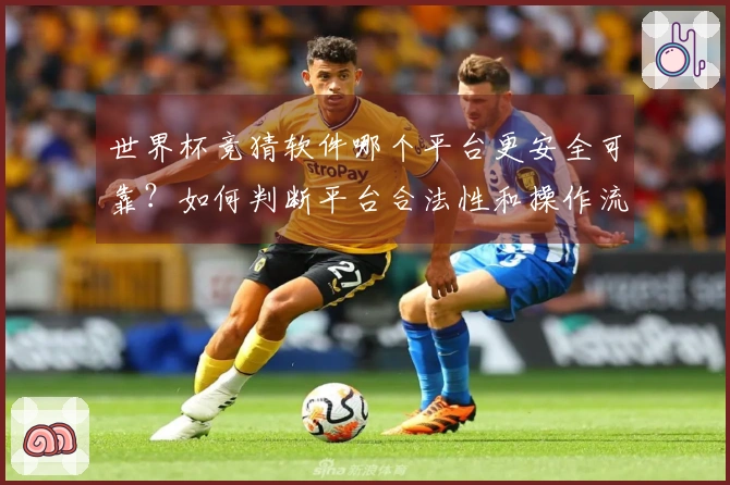 世界杯竞猜软件哪个平台更安全可靠？如何判断平台合法性和操作流程？