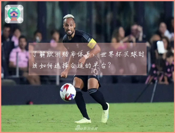了解欧洲赔率体系，世界杯买球时该如何选择合适的平台？