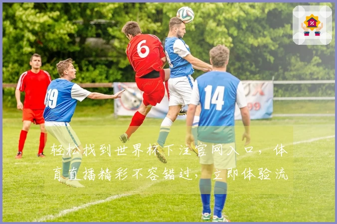轻松找到世界杯下注官网入口，体育直播精彩不容错过，立即体验流畅服务