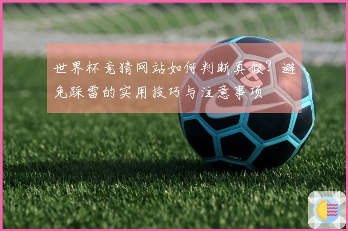 世界杯竞猜网站如何判断真假？避免踩雷的实用技巧与注意事项