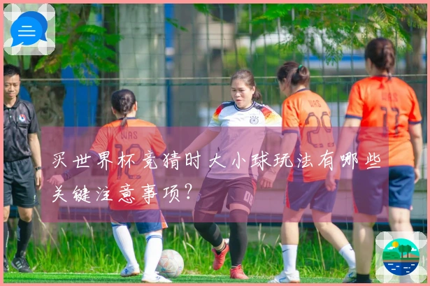 买世界杯竞猜时大小球玩法有哪些关键注意事项?