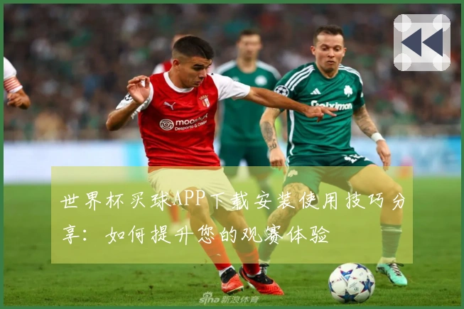 世界杯买球APP下载安装使用技巧分享:如何提升您的观赛体验